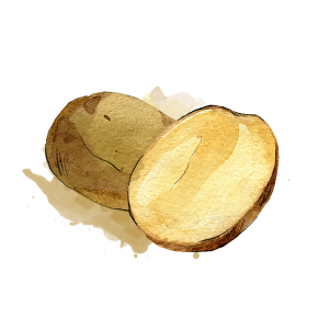ATLPRIM-pomme-de-terre