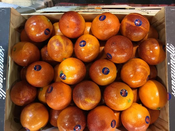 orange sanguine-atlanticprimeurs