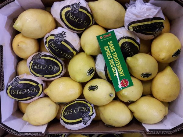 citron jaune-Atlantic primeurs