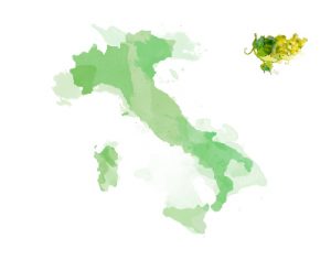 italie-provenance