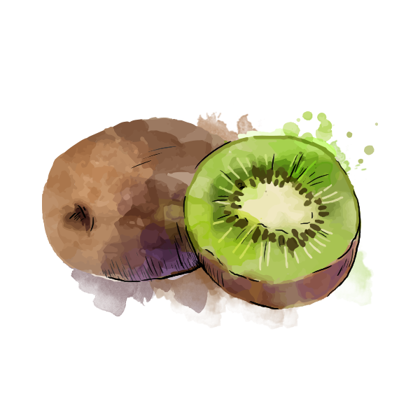 kiwi-atlantic-primeurs