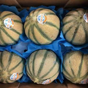 melon-atlantic-primeurs