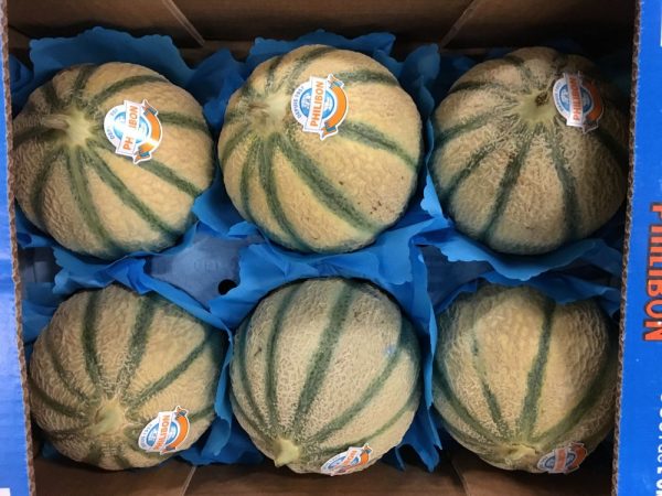 melon-atlantic-primeurs