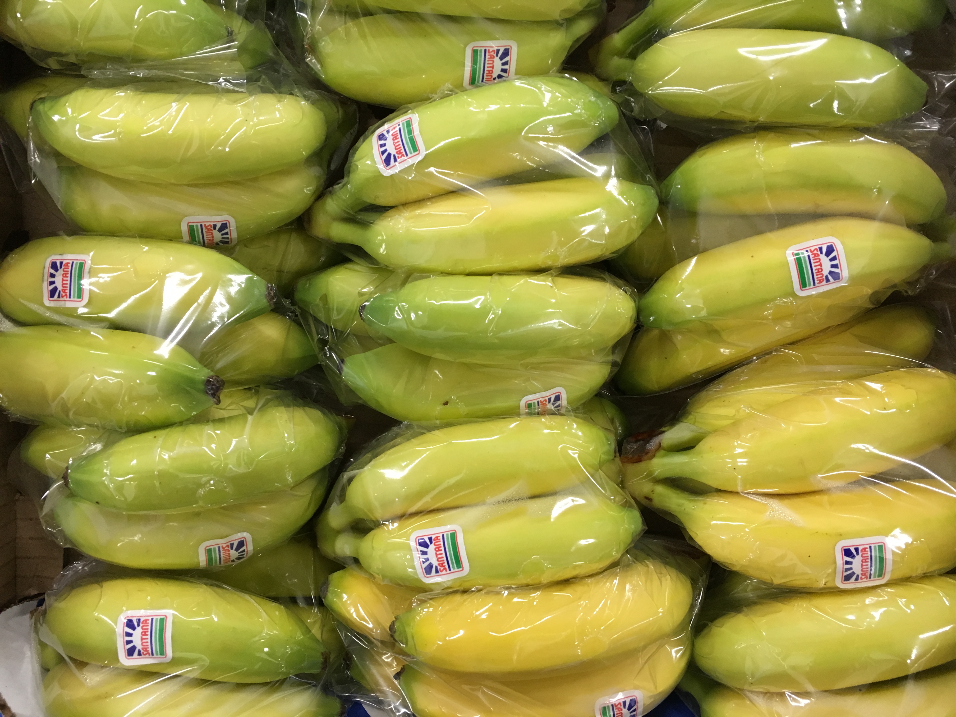 banane frecinette-atlantic-primeurs