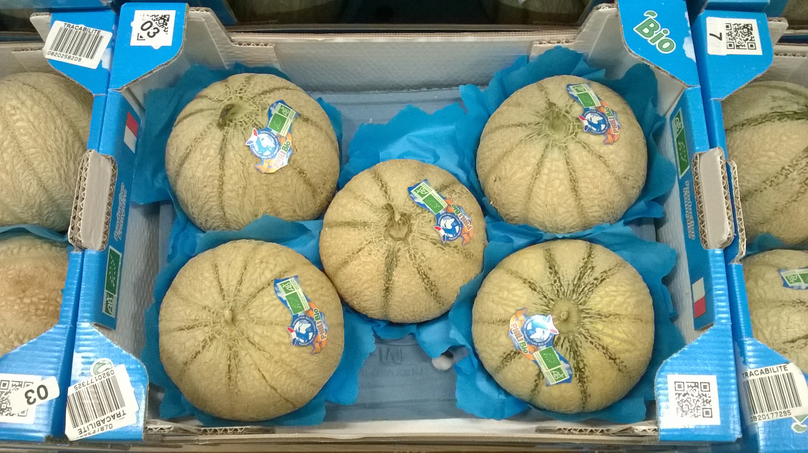 melon bio philibon-atlantic-primeurs