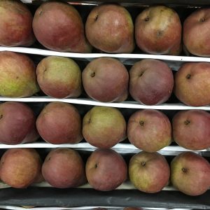 poire william rouge-atlantic-primeurs