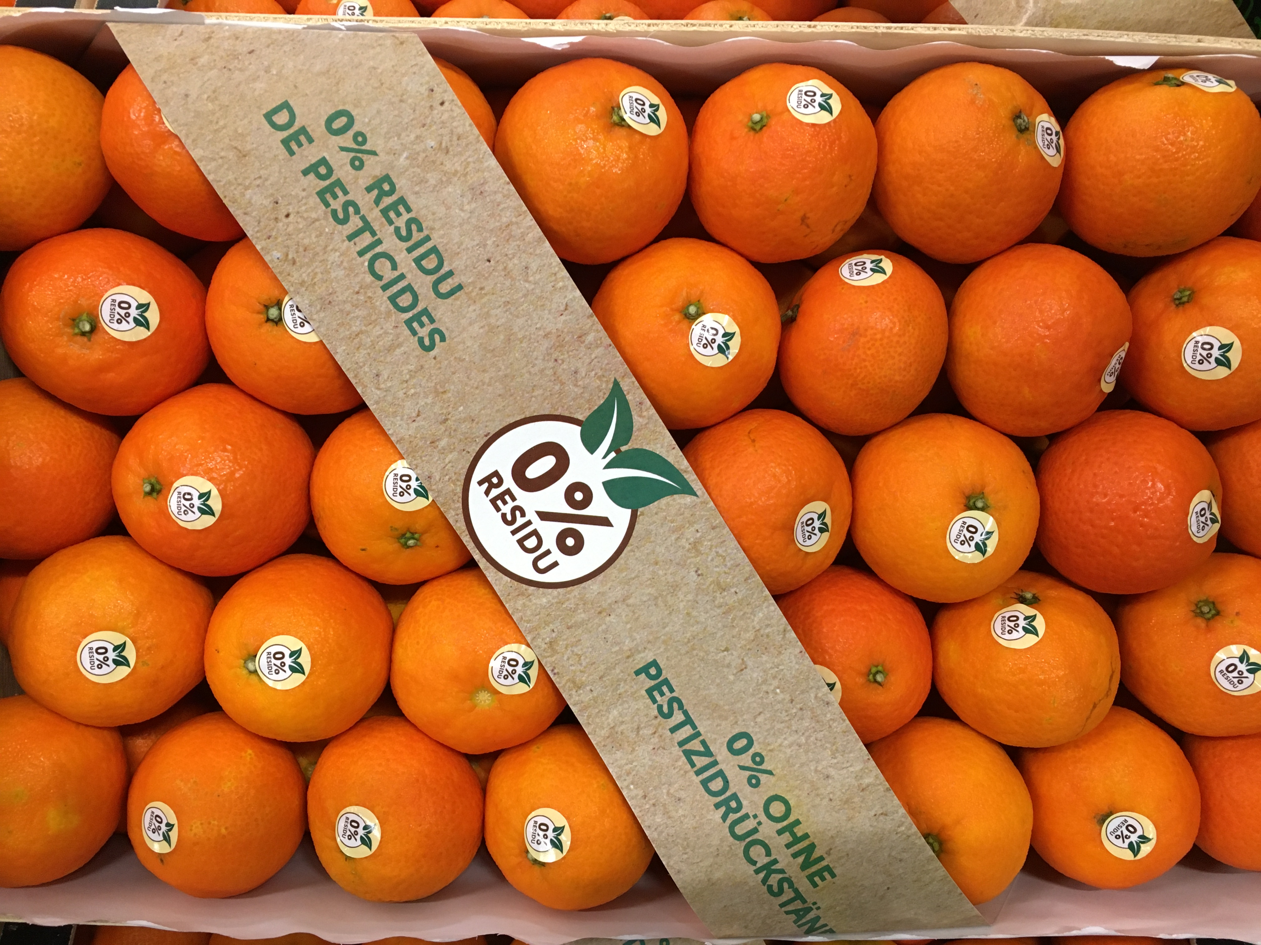 clementine zero pesticide oronules-atlantic-primeurs